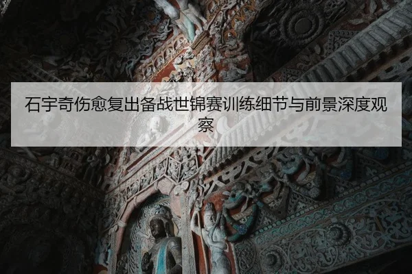 石宇奇伤愈复出备战世锦赛训练细节与前景深度观察